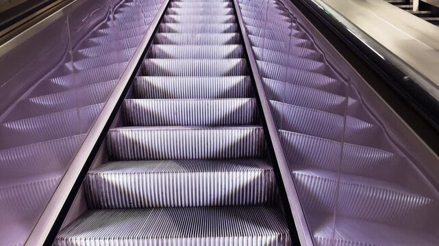The design of elevator and staircase features plays an essential role in the realm of modern architecture