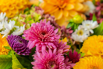 Selective focus Bush of autumnal orange red chrysanthemums and violet dahlia hydrangea. Fall garden beautiful flowers bouquet background. Blooming blossom thanksgiving day arrangement basket at the