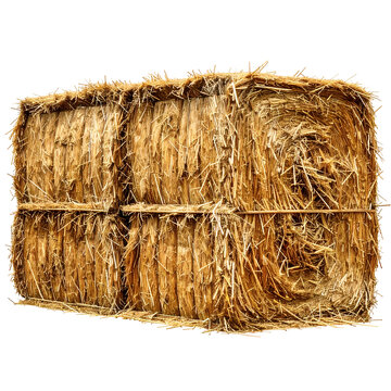 A large rectangular bale of dry hay with visible texture, bound by twine, on a black backdrop