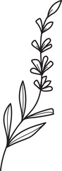 Elegant hand-drawn line art illustration of a lavender flower sprig. Botanical minimalist design element for nature and wellness concepts.