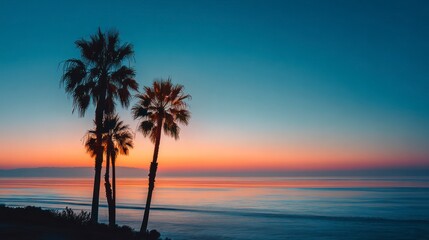 Obraz premium Palm trees sunset ocean view