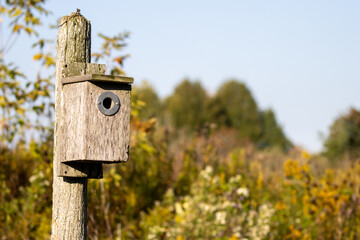 Bird house in an autumn meadow.