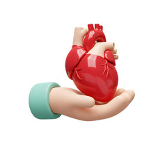 Hand Holding a Bright Red Human Heart Isolated on Transparent Background: Medical 3D Organ Donation Concept