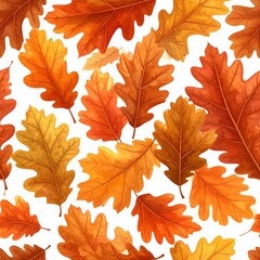Autumn oak leaves pattern on white background