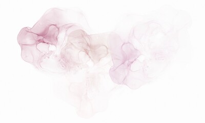 Obraz premium Abstract Red and Pink watercolor alcohol ink stain texture on white Background