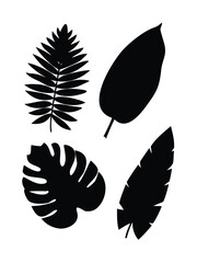 Solid Black Silhouette Vector Set of Tropical Leaves