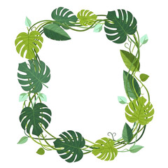 Lush green tropical jungle plant frame with monstera leaves and climbing vines