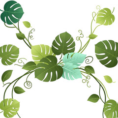 Lush tropical monstera leaves and winding green vines form an elegant botanical design element