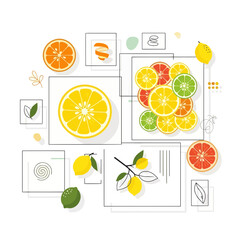 Fresh Citrus Slices and Zest Assortment with Decorative Elements