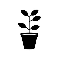 Potted plant silhouette on transparent background