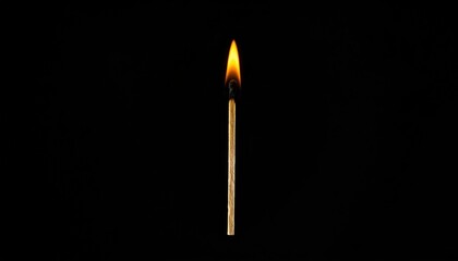 A solitary matchstick with a vibrant flame against a black background, symbolizing light and hope