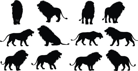 Lion silhouettes in different poses, wild animal vector illustration, African wildlife concept, majestic big cat standing, roaring, walking, isolated design