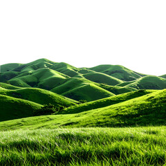 Rolling green hills under a dark sky; lush grass in the foreground