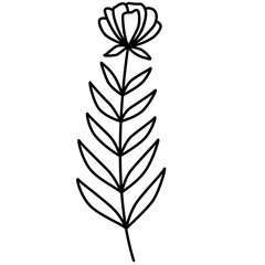 Linear Black Flower with Leaves on Transparent Background