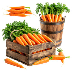 Various arrangements of vibrant orange root vegetables with green tops in wood containers