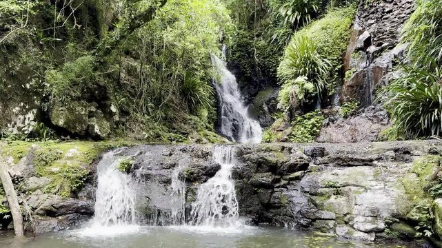 Beautiful unique Elabana Falls surrounded by dense lush Gondwana rainforest, hidden deep in mountainous Lamington National Park, O'Reilly's, near Brisbane and the Gold Coast, Queensland, Australia