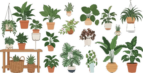 Create a calming atmosphere with this collection of diverse houseplants in pots, perfect for adding a touch of nature to any space for a trendy aesthetic