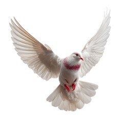 Obraz premium Dove products make softness feel amazing