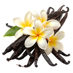 Aromatic vanilla beans paired with fragrant, cream-colored tropical flowers