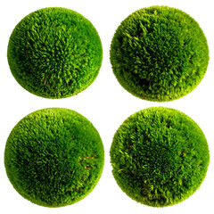 Four spherical objects covered in vibrant, textured green growth, against a black backdrop