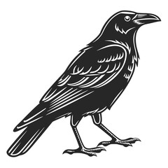 Obraz premium Stylized black and white raven illustration on a black background