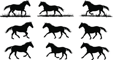 Silhouette of deer family standing together on white background, wildlife nature illustration, majestic stag herd with antlers, outdoor animal design.