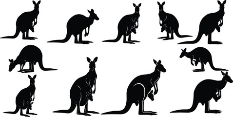 Silhouette of kangaroo and joey, Australian wildlife vector, nature animal illustration, marsupial family design, mother kangaroo protecting baby © Sakib World