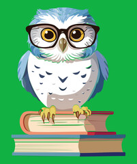 Intelligent Cartoon Owl Animal Illustration Wearing Glasses and Sitting on a Stack of Knowledge Books