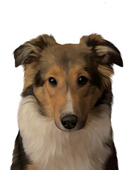 pets posing facing the camera 