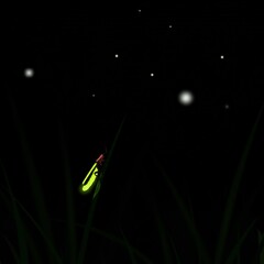 Fishing lure glowing in the dark night sky with stars.