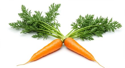 Fresh Carrots with Green Tops on White Background.