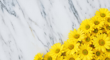 Bright yellow chrysanthemum flowers on a white marble background. Floral flat lay for All Souls' Day. Top view with copy space