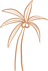 Line Art Minimalist Coconut Tree Botanical Style