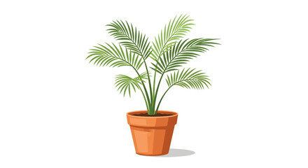 A healthy potted palm plant with green fronds in a terracotta pot, isolated on a white background, perfect for home decor and botanical illustrations