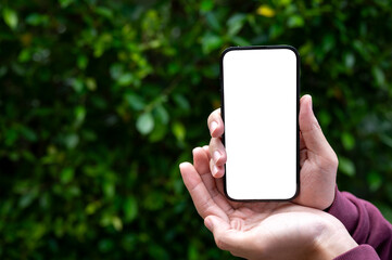 Man's hands holding or showing white screen smartphone with green leaves tree garden wall background
