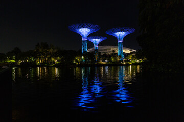 Supertrees at gardens by the Bay, Singapore