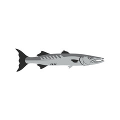 A stylized illustration of a barracuda fish in grayscale.