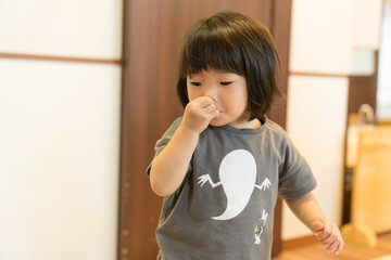 おもちゃで遊ぶ女の子の幼児