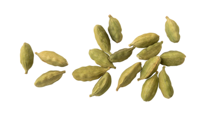 Green cardamom pods isolated on transparent background