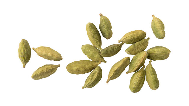 Green cardamom pods isolated on transparent background