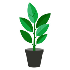 Lush green houseplant in a simple dark grey pot vector on white background.