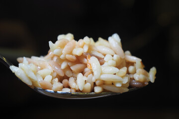 Delicious spoonful of rice served in a close-up view