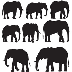Fototapeta premium Set of Elephant Silhouettes and Wildlife Vector Illustrations