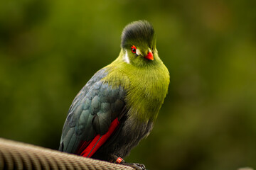 Naturaleza