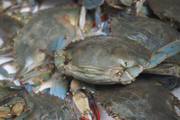 Fresh blue crabs gathered at the local seafood market