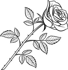 Hand Drawn Rose Flower Line Drawing