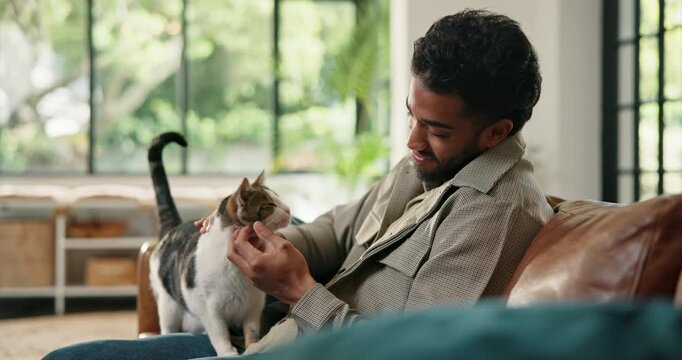 Break, love or stroke with cat and man on sofa in living room of home together for bonding. Comfort, cuddle or relax with kitten and pet owner in apartment for adoption, animal care or welfare