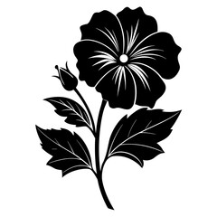 lavatera barnsley silhouette vector isolated