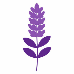 lavender silk lilac silhouette on white