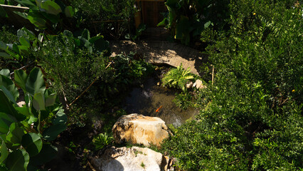 Serene Waters: A tranquil water stream flows gently through a natural landscape, the water reflecting the surroundings.